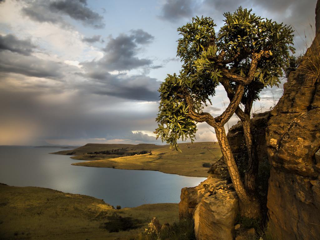 Wild Horses Lodge Harrismith Exteriör bild