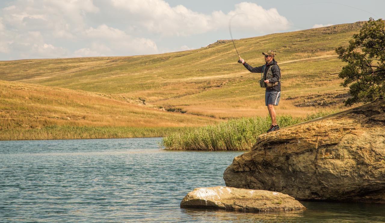 Wild Horses Lodge Harrismith Exteriör bild